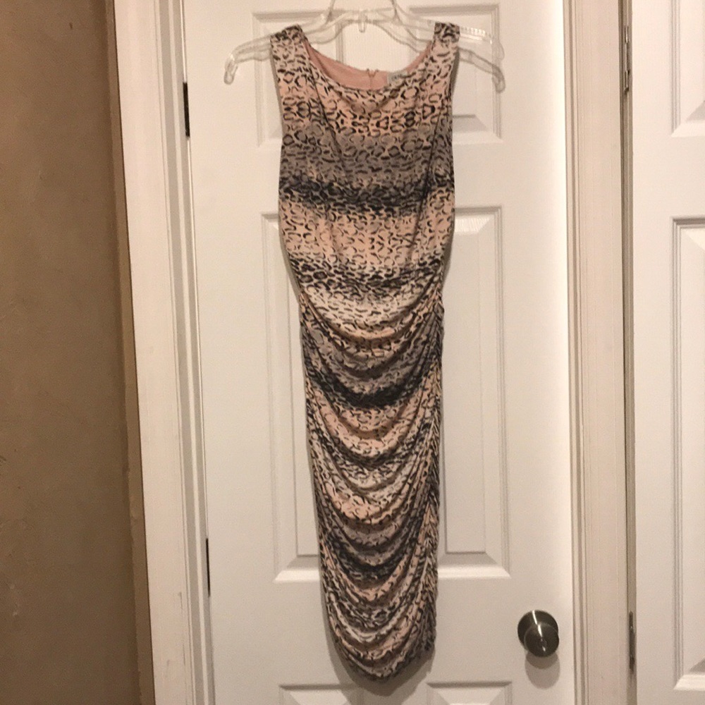 Beautiful Cache Dress - Picture 2 of 3
